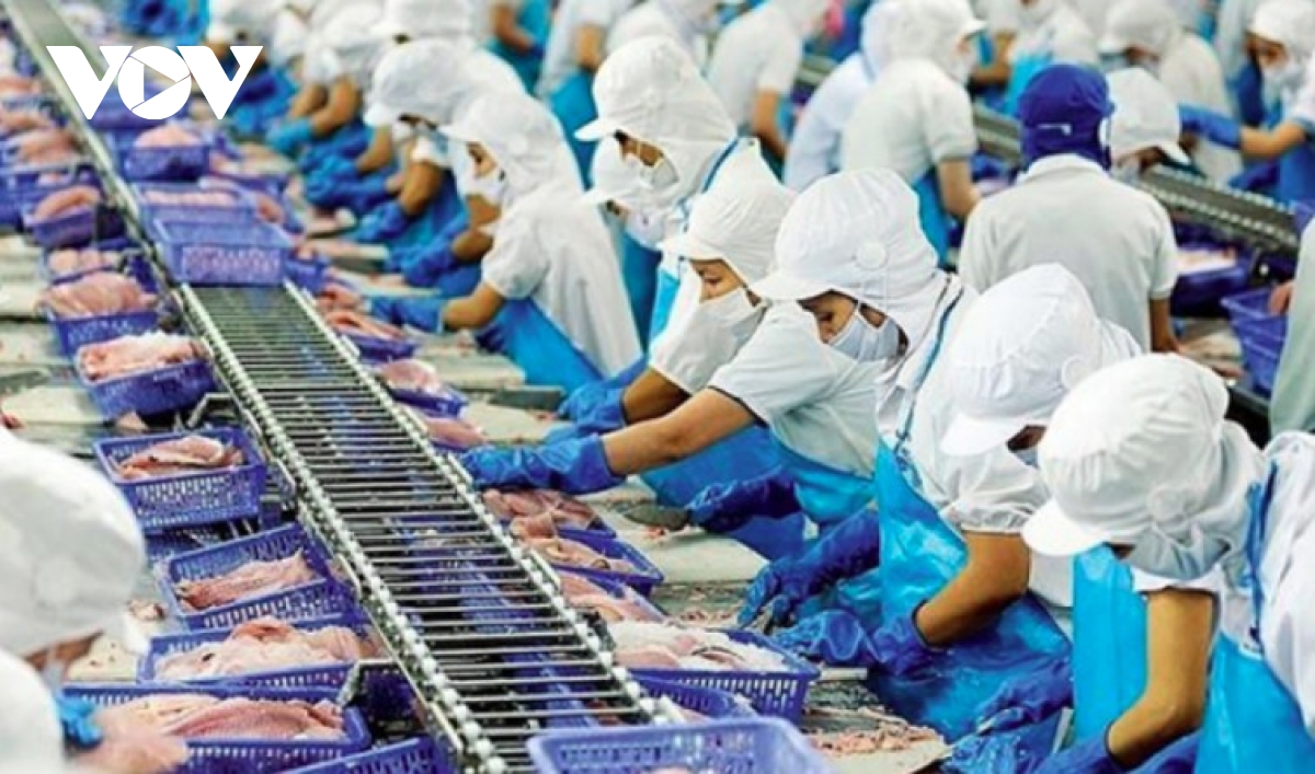 Seafood sector adapts to new markets, targets US$11 billion in exports